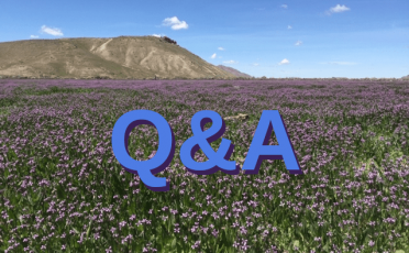 Q&A Zoom meeting calendar image